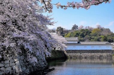 hikone castle