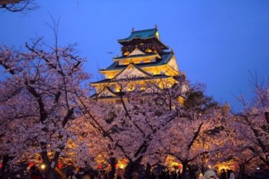 osaka castle