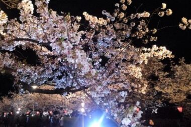 osaka-castle