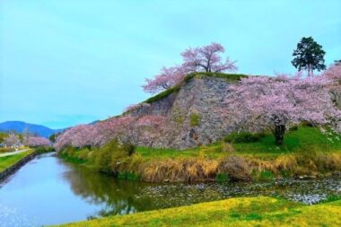 sasayama castle