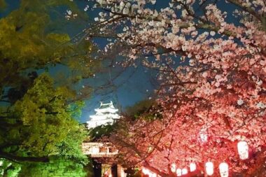 wakayama castle