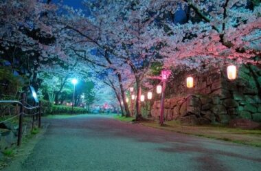 wakayama castle