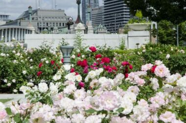 nakanoshima park