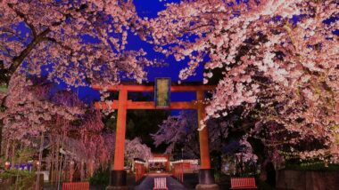 hirano jinja