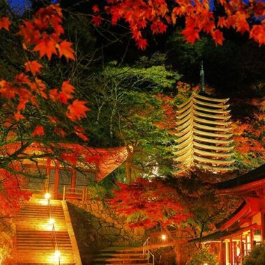 tanzan jinja lit up